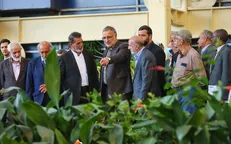 زاکانی: بازارهای گل و گیاه ساماندهی می‌شود / عرضه مستقیم گل در تمامی اماکن پایتخت