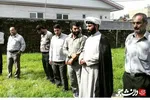 کبوتر رحمت