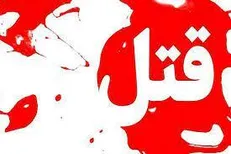 قتل یک جوان ۱۶ ساله تبعه افغانستان و دستگیری قاتل این پرونده