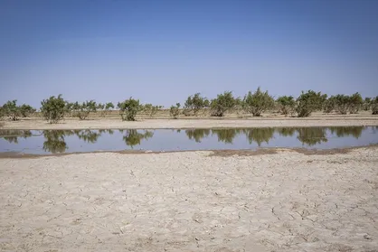 راه&zwnj;کارهای یک استاد دانشگاه برای حل مشکل کم آبی/ آب&zwnj;های نامتعارف، سیستان&zwnj;وبلوچستان را احیا می&zwnj;کند