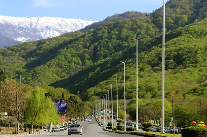 تصمیمات عجیب برای نابودی جنگل&zwnj;های هیرکانی / مقابله با ریزگرد&zwnj;ها در گلستان با احداث تله کابین!