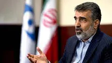 سخنگوی سازمان انرژی اتمی دچار حادثه شد
