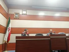 سیاهکلی: خودمان هم نفهمیدیم چرا واردات خودرو دست دوم در مجمع تشخیص حذف شد! / سلیمانی: ضعف شدید سیاستگذاری‌ها در صنعت خودرو