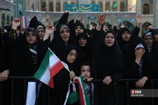دبب