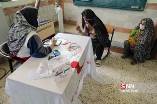 مانور