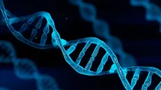 دیتاسنتر‌های حاوی DNA تا ده‌سال دیگر آغاز به کار می‌کنند