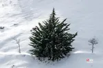 435435