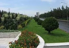 بصیری: طرح جامع فضای سبز تهران تا یک ماه آینده به پایان می‌رسد