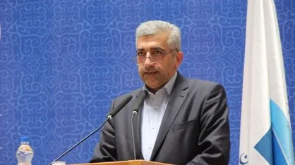 زلزله تهدیدی جدی&zwnj;تر از آب است/ مشکل برق در مناطق زلزله زده نداریم