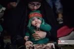 همایش شیرخوارگان حسینی در شیراز