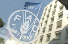 پس‌لرزه‌های جنگ ایران؛ قیمت جهانی مواد غذایی به شدت افزایش یافت