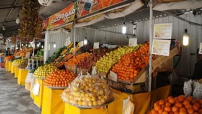 قیمت انواع مرکبات در میادین میوه و تره بار + نرخنامه