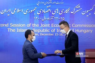 بیدذب