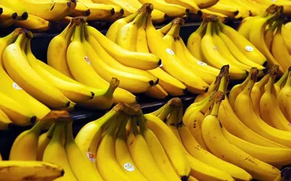 دارایی&zwnj;نژاد: عامل افزایش قیمت موز انحصار واردات است