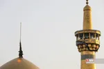 صضثضصثصض