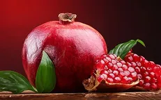 حضور چند چهره طنزپرداز در ویژه برنامه یلدا شبکه افق
