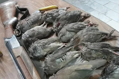 دستگیری شکارچی غیرمجاز در پناهگاه حیات&zwnj;وحش قمصر