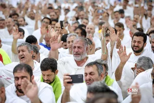 دبب