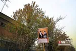 تشییع پیکر جانباز شهید «علی خوش‌لفظ» 