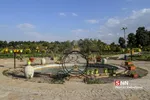 باغ گیاه شناسی