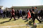 کاشانی
