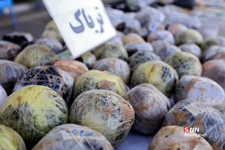 طرح ظفر ۱۳