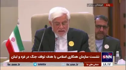 عارف: راه&zwnj;حل دموکراتیک برای فلسطین، همه&zwnj;پرسی میان تمامی فلسطینیان است