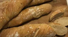 تلاش فرانسه برای ثبت «باگت» در میراث فرهنگی یونسکو