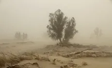 توفان ۲۱۵ سیستانی را روانه بیمارستان کرد