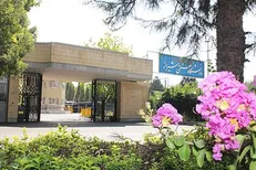 فعال‌سازی مرکز کارآفرینی دانشگاه شیراز در آینده‌ای نزدیک/ بیش از ۵۰ درصد فارغ‌التحصیلان صنعتی شیراز مشغول به‌کار شدند