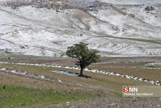 برف بهاری