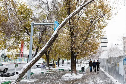 برخی از کلاس&zwnj;های دانشگاه&zwnj;های آذربایجان&zwnj;شرقی تعطیل شد