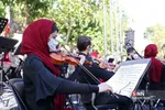 افتتاح پیاده راه استاد شهریار