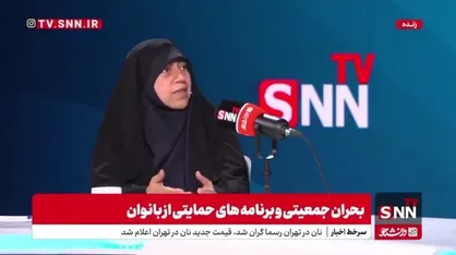محمدبیگی: بودجه&zwnj;های جمعیتی به یکباره مثل یخ آب شد