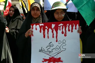 دبب