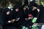 عرفه