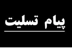 وزیر کار و رفاه اجتماعی درگذشت نماینده مردم ایرانشهر را تسلیت گفت