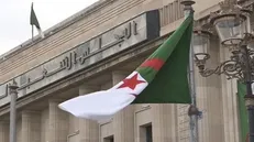 موافقت نیجر با ابتکار الجزایر برای حل بحران داخلی