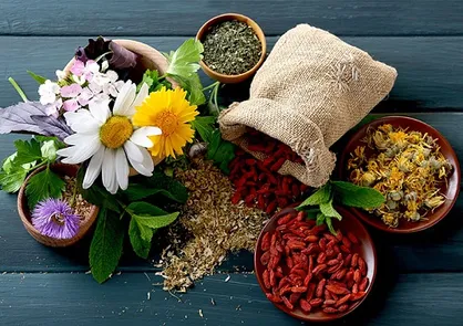 تربیت متخصص طب سنتی در علوم پزشکی زنجان/ در استان کارخانه داروسازی وجود ندارد