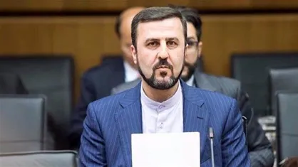 انتقاد از رویکرد دوگانه اتحادیه اروپا و برخی کشور&zwnj;های اروپایی در قبال موضوعات حقوق بشری