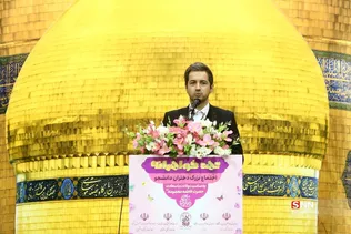 دبب