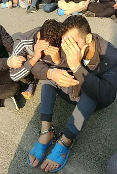 « مارمولک‌های شب‌رو» دستگیر شدند