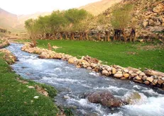 ۷۵ درصد آب کشاورزی چهارمحال و بختیاری وابسته به منابع زیرزمینی است