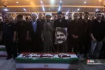 دبب