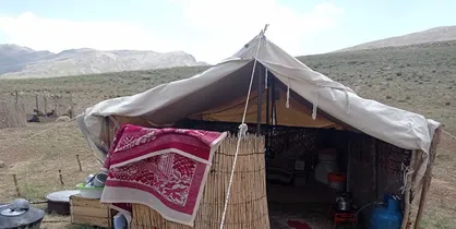 اعزام ۱۶۵ خانه بهداشت سیار به مناطق عشایری تا پایان مرداد