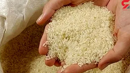 اکبریان: حباب کاذب قیمت برنج توسط دلالان به وجود می&zwnj;آید/ باید نرخ هر کیلو برنج حداکثر ۳۲ هزار تومان باشد