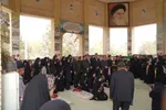آلبوم عکس
