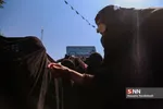 شهدا