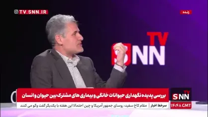 خلیلی: خیلی از بیماری های پوستی در سگ ها اصلا قابل تشخیص نیست