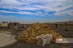 1 سالگی زلزله